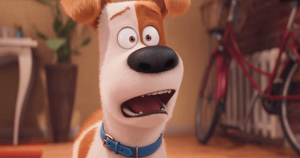 Box Office 'The Secret Life of Pets' Breaks Record for Original Animated Opening