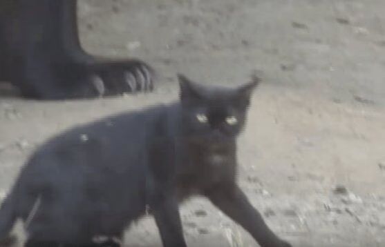 Source: YouTube