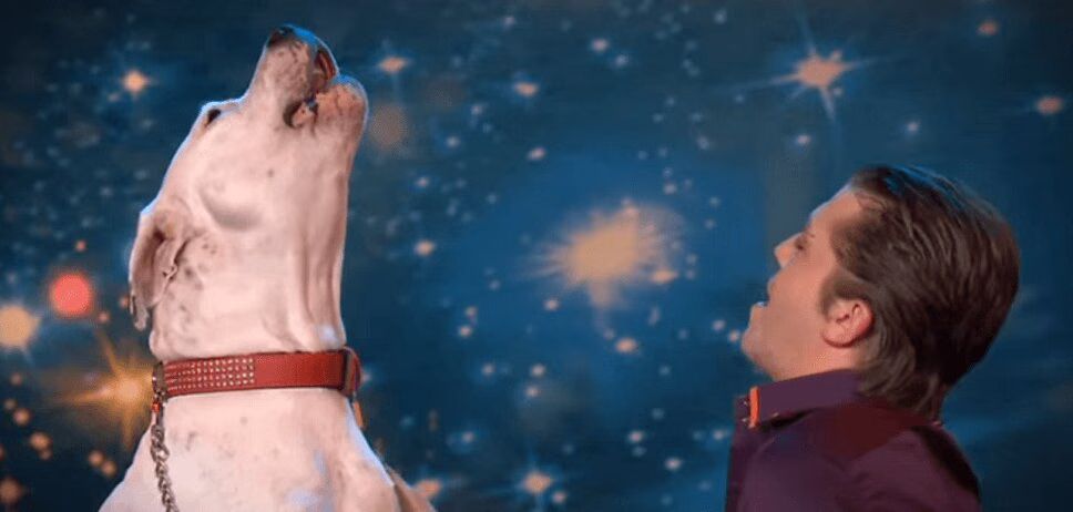 Adorable Dog Sings Whitney Houston (VIDEO)