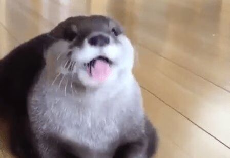 Source: Twitter
