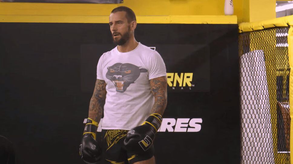 CM Punk Lashes Out At 'Hack Journalists' Criticizing UFC 203 Debut