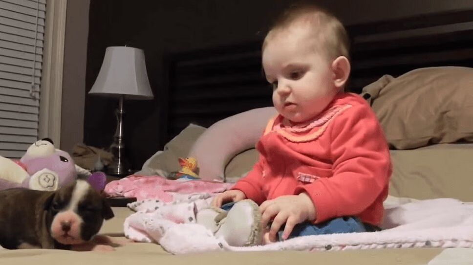Puppies And Babies Playing Together Will Brighten Your Monday (VIDEO)