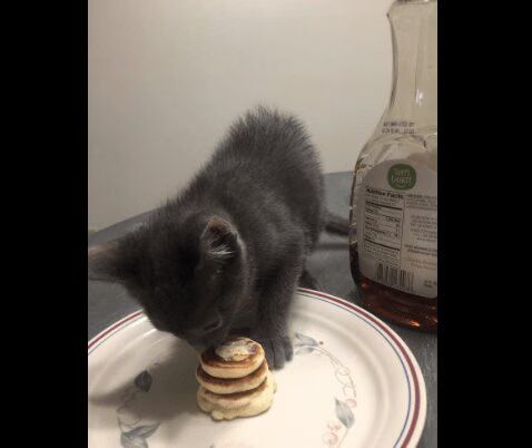 Source: Twitter