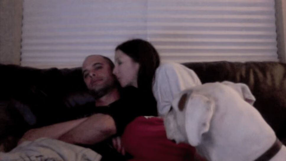 Adorable Boxer Dog Gets Jealous of Owners Kissing (VIDEO)