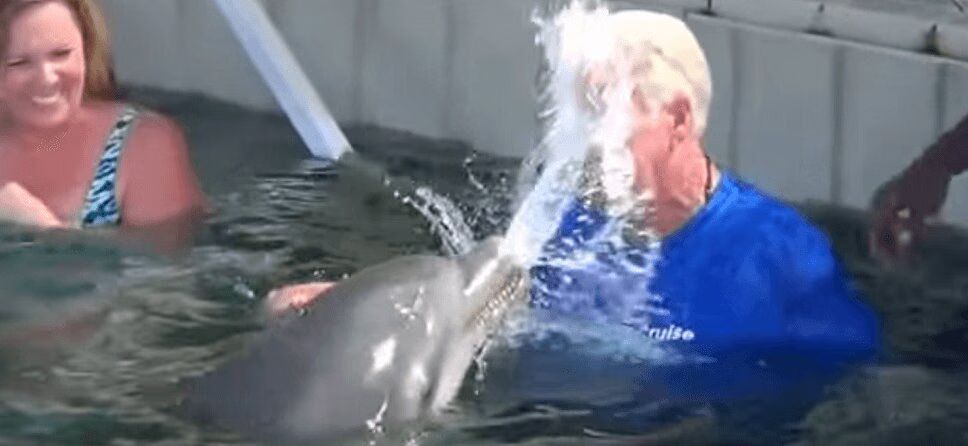Ridiculous Dolphin Spits Water Back at Man, Gives Him a Kiss (VIDEO)