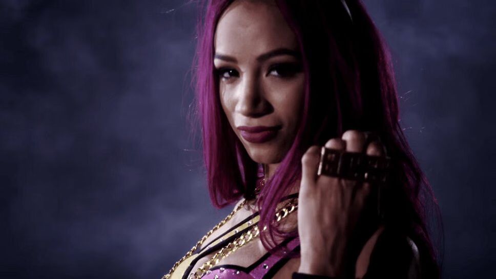 UFC Fighter Cat Zingano Calls Out WWE Women's Champion