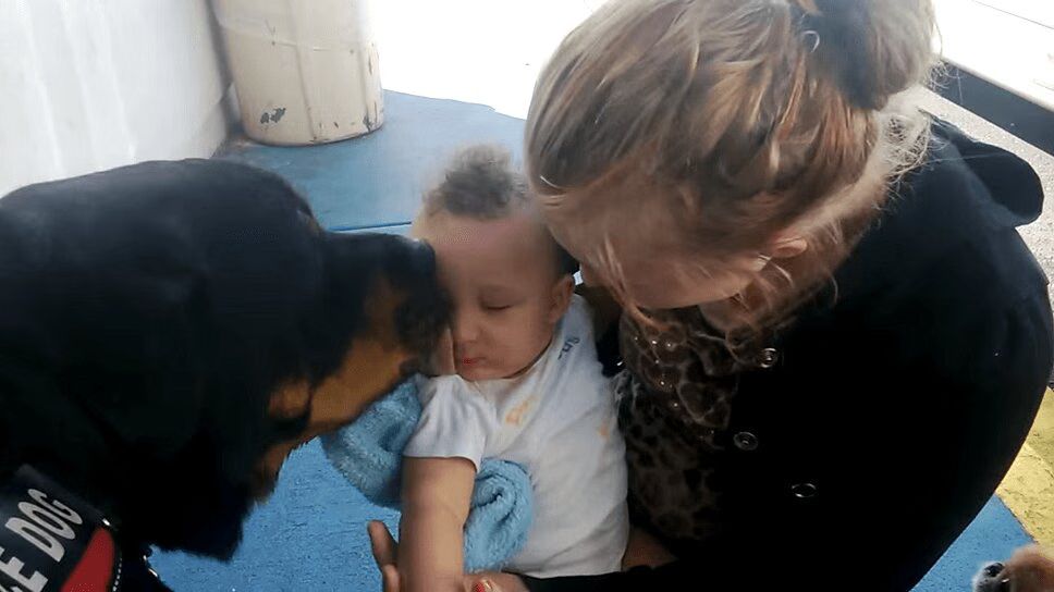 Big Old Rottweiler Meets Little Six-Month-Old Baby (VIDEO)