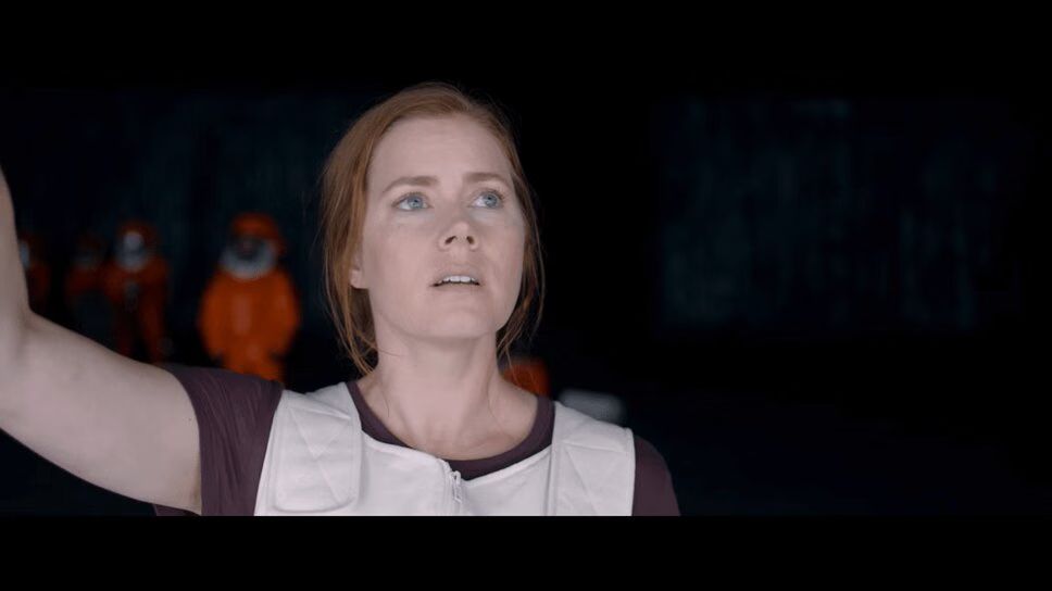 Box Office: Election Escapism Lifts All Films On Veteran's Day Weekend