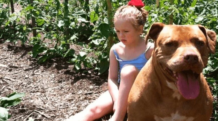 Precious Pit Bull Befriends Autistic Girl Who Can't Speak (VIDEO)