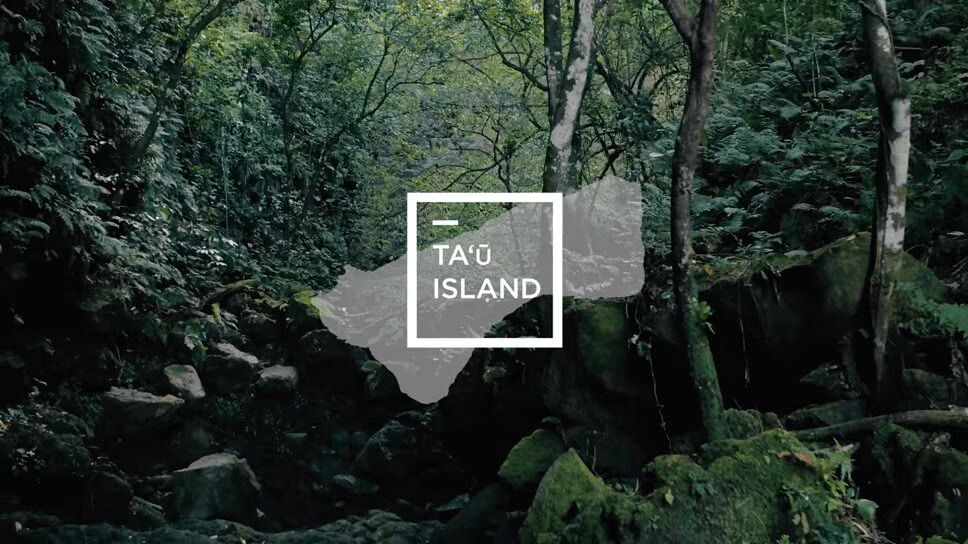 Tesla Powers Pacific Island With Solar Panels (VIDEO)