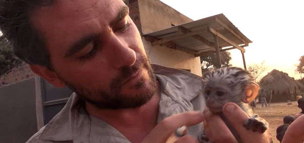 Tiny Vervet Monkey Saved From African Bush Fire (VIDEO)