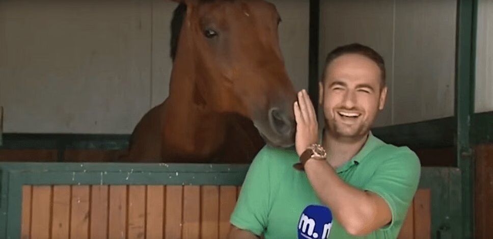 Adorable Horse Interrupts Greek Reporter (VIDEO)