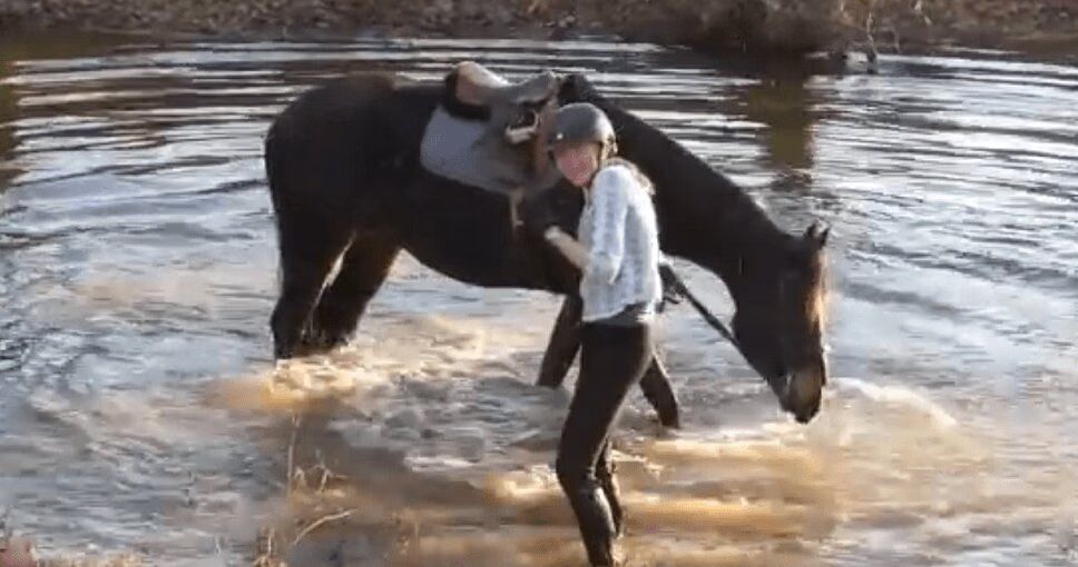 Cute Horse Discovers Splashing Is A Lot of Fun (VIDEO)