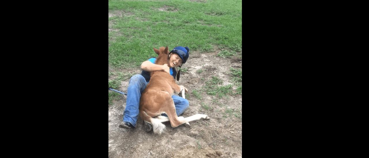 Adorable Baby Horse Snuggles With Best Pal - So Sweet! (VIDEO)