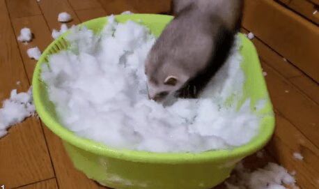 Source: Twitter