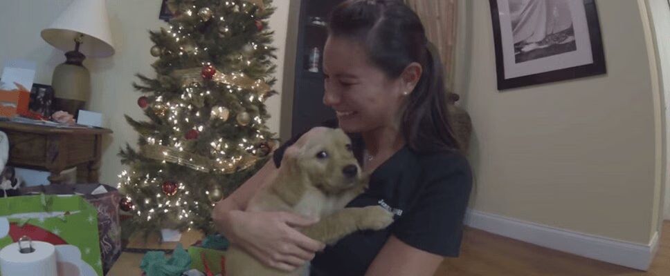 Golden Retriever Puppy Brings Heartbroken Woman To Tears (VIDEO)