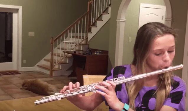 Source: YouTube