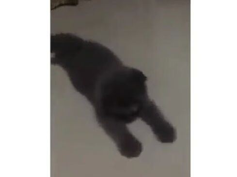 Source: Instagram