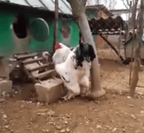 Source: YouTube