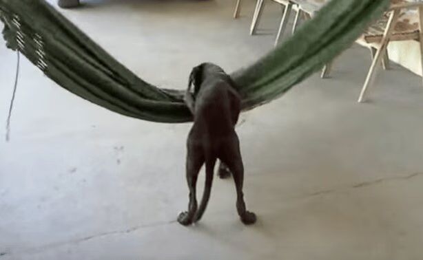 Source: YouTube