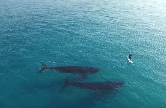 Source: YouTube