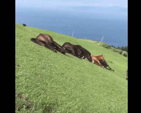 Source: YouTube
