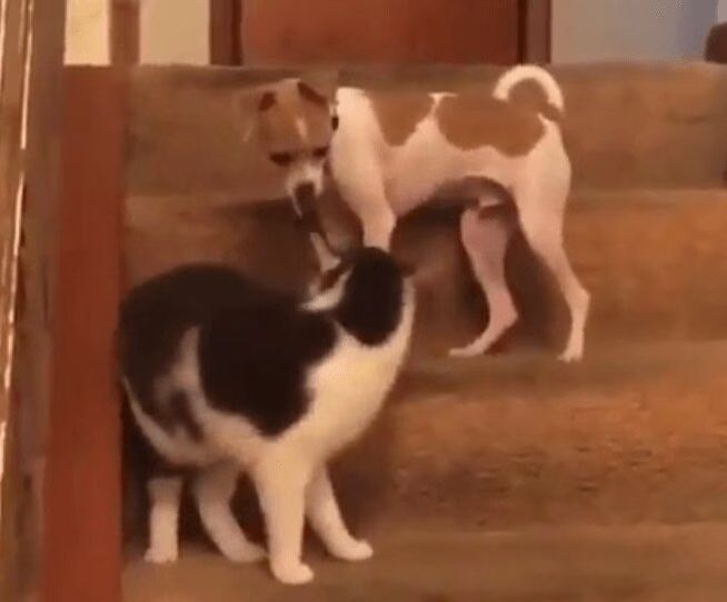 Source: Twitter