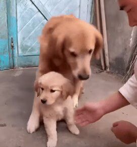 Source: YouTube