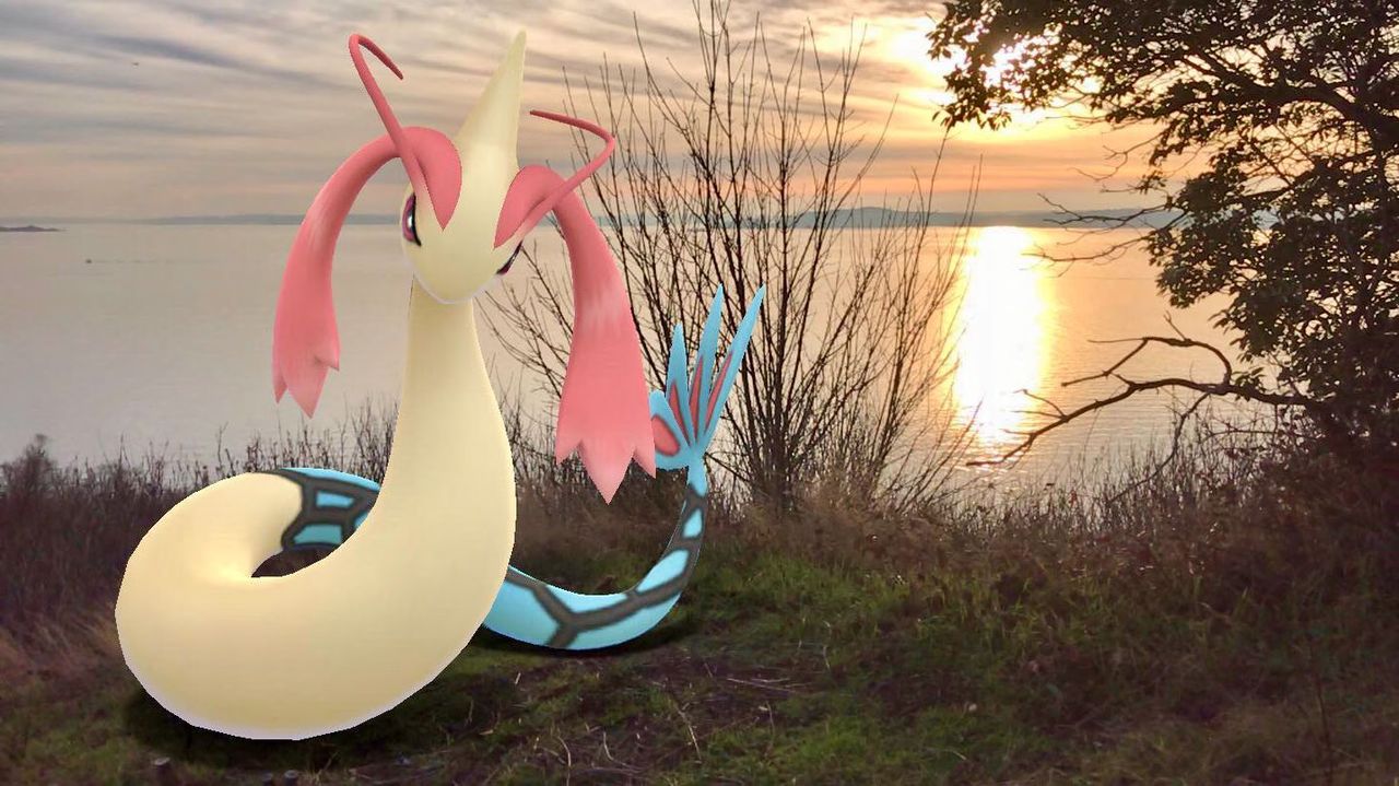 Pokemon GO Milotic