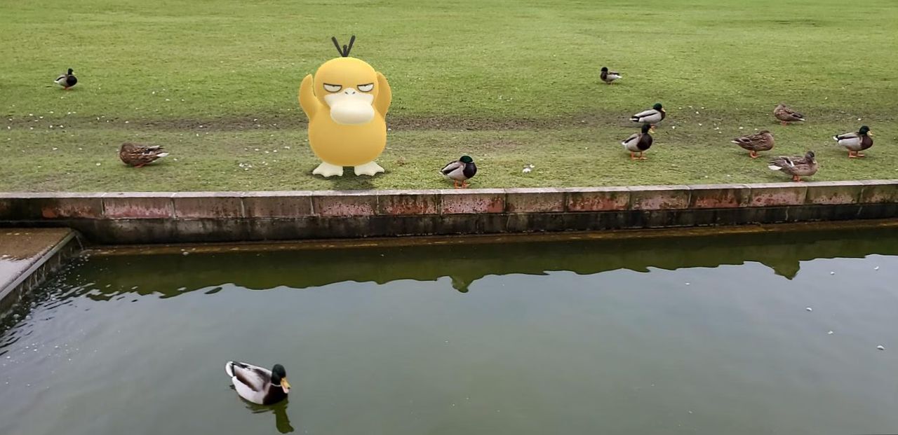 Pokemon GO Psyduck