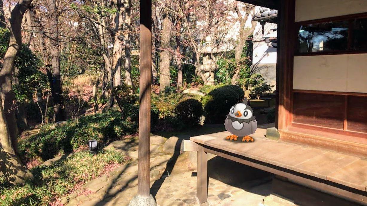 Pokemon GO Starly
